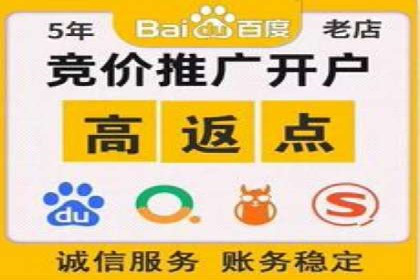 百度竞价推广：从投放策略到效果评估的全过程